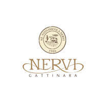Logo Nervi