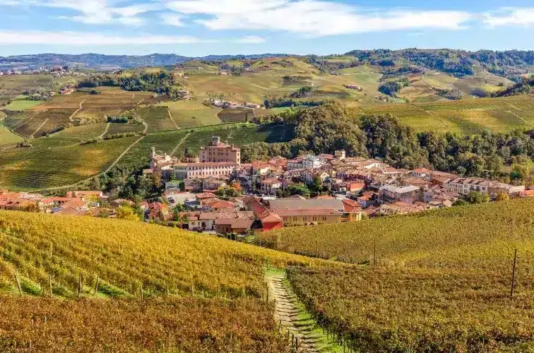 Barolo-Gebiet Titelbild