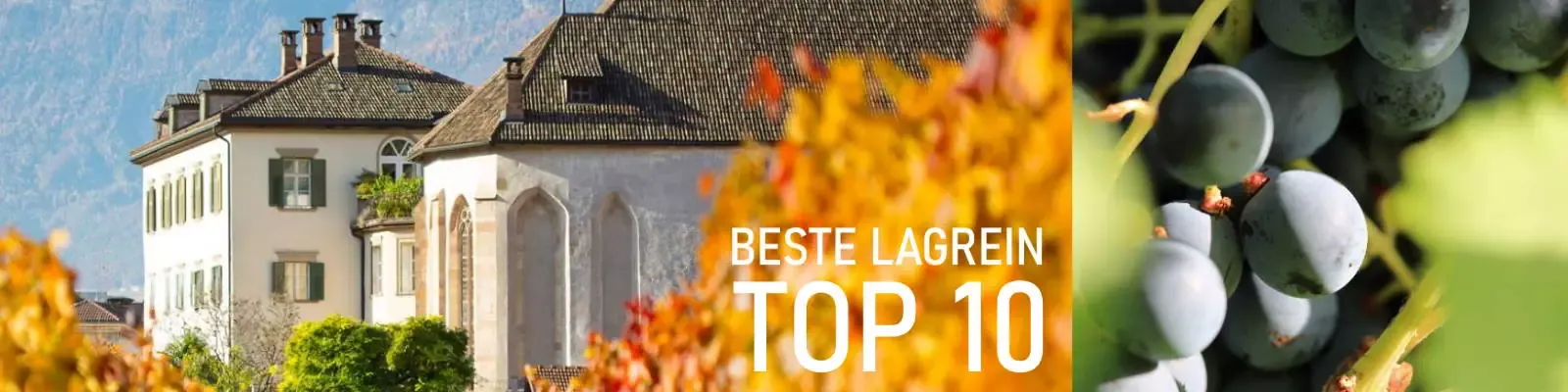 Beste-Lagrein-Weine-Suedtirol