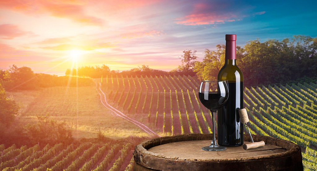 Lambrusco Wein aus Italien