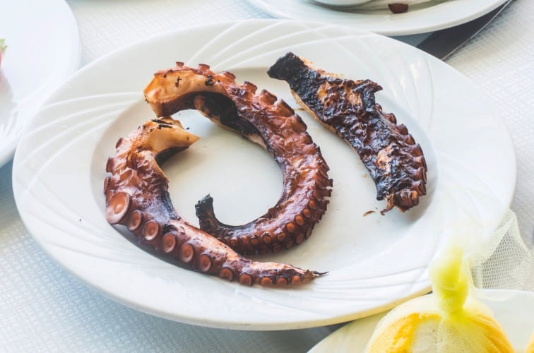 Oktopus Rezept