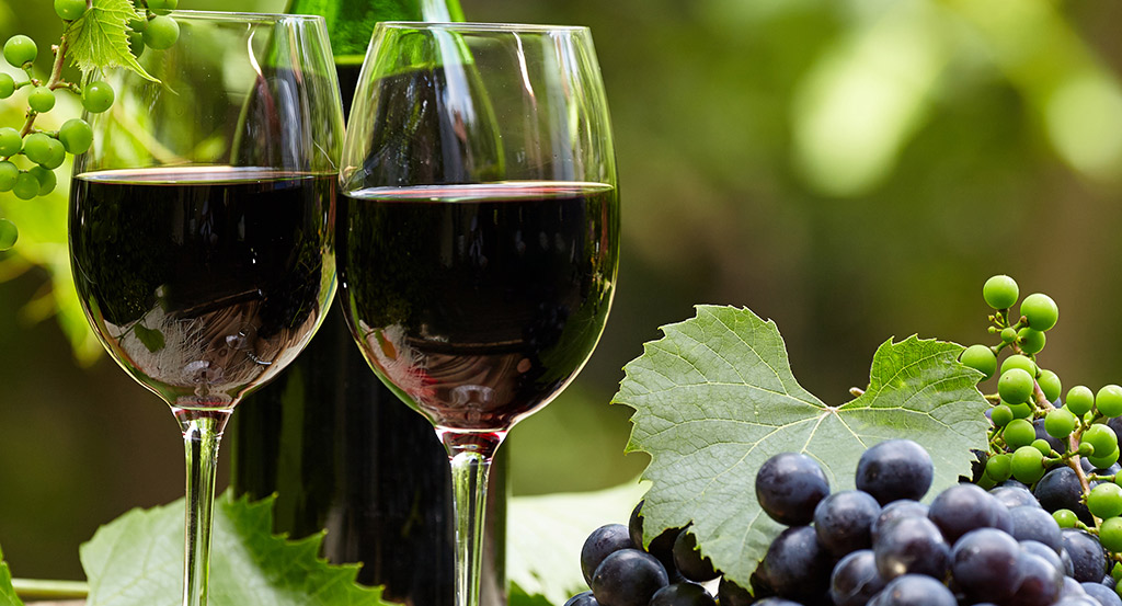 Primitivo Wein italienischer Rotwein aus Apulien