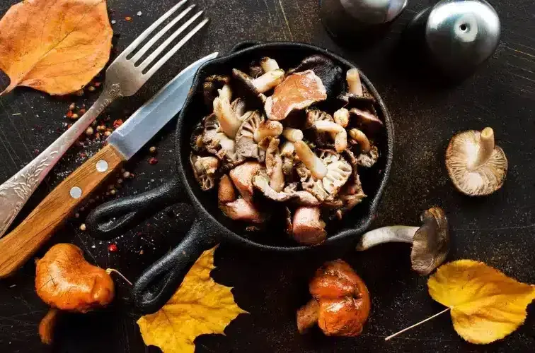 Steinpilz Rezept italienisch Titelbild