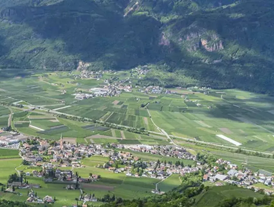 Suedtiroler-Weinbauzone-Etschtal-Weine1