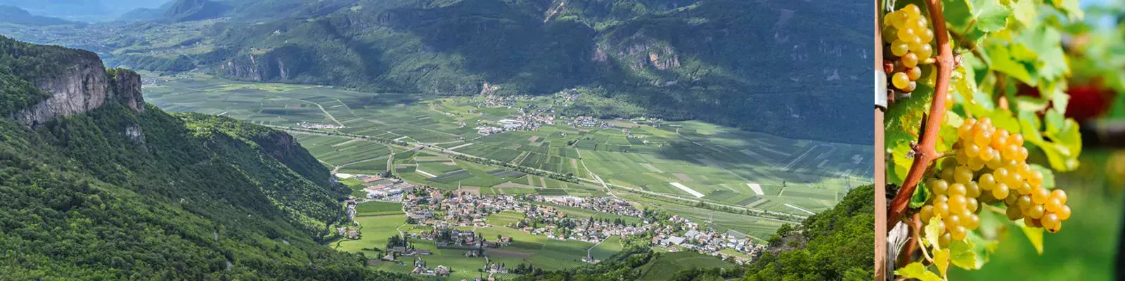 Suedtiroler-Weinbauzone-Etschtal-Weine1
