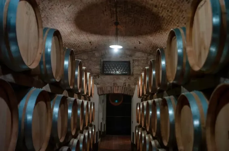 Valpolicella Ripasso Weinfässer